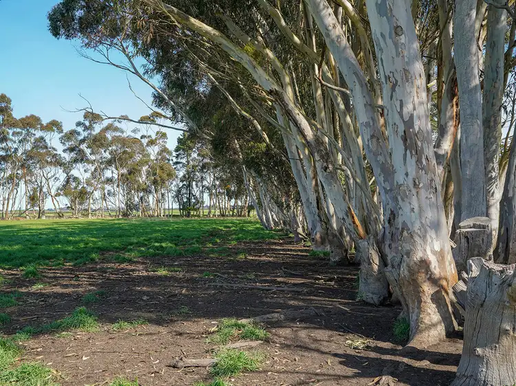 3078 Victoria Point Road, Strathkellar VIC 3301