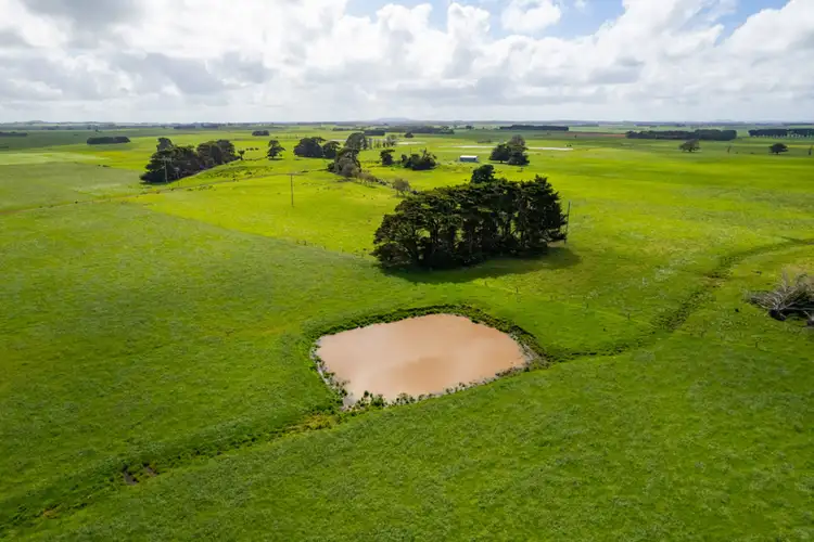 Second view of Homely rural property listing, 19 Harneys Road, Garvoc VIC 3265