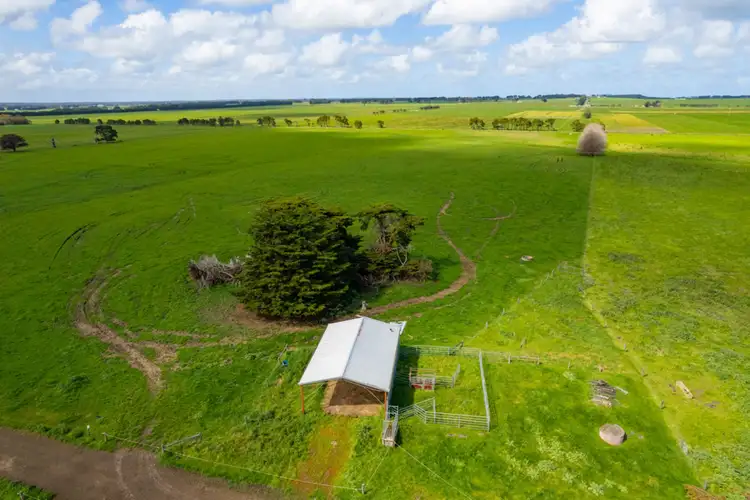 Fourth view of Homely rural property listing, 19 Harneys Road, Garvoc VIC 3265