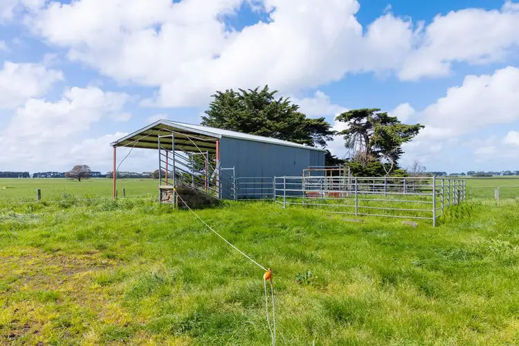 Seventh view of Homely rural property listing, 19 Harneys Road, Garvoc VIC 3265