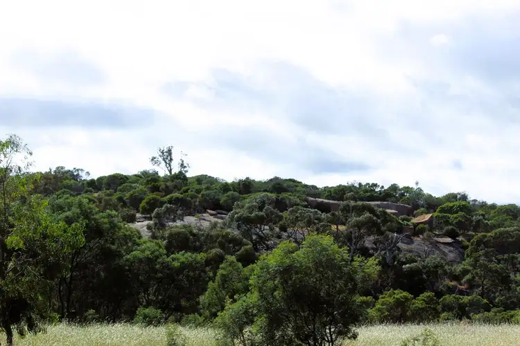 Second view of Homely rural property listing, 5 Wedderburn Serpentine Road, Glenalbyn VIC 3517