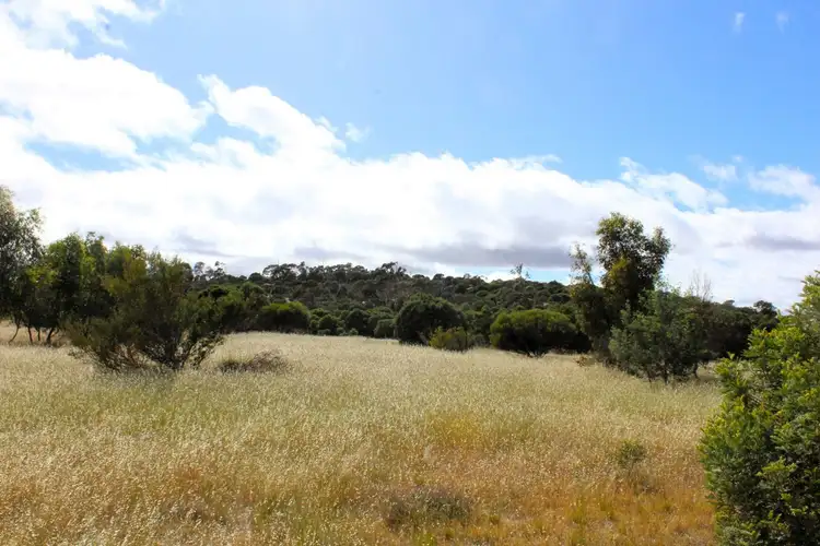 Fourth view of Homely rural property listing, 5 Wedderburn Serpentine Road, Glenalbyn VIC 3517