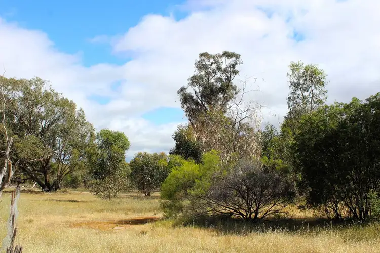 Fifth view of Homely rural property listing, 5 Wedderburn Serpentine Road, Glenalbyn VIC 3517