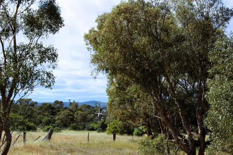 Sixth view of Homely rural property listing, 5 Wedderburn Serpentine Road, Glenalbyn VIC 3517