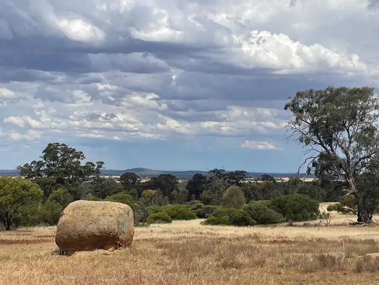 Seventh view of Homely rural property listing, 5 Wedderburn Serpentine Road, Glenalbyn VIC 3517