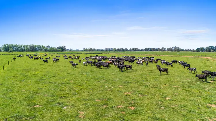 Second view of Homely rural property listing, 4 Cross Road, Bundalaguah VIC 3851