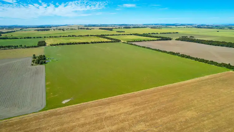 Fourth view of Homely rural property listing, 1834 Lismore-Skipton Road, Bradvale VIC 3361