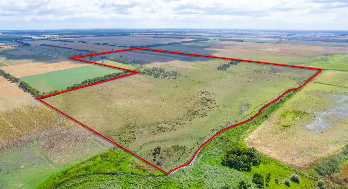 Main view of Homely rural property listing, Mitchells Road, Heywood VIC 3304