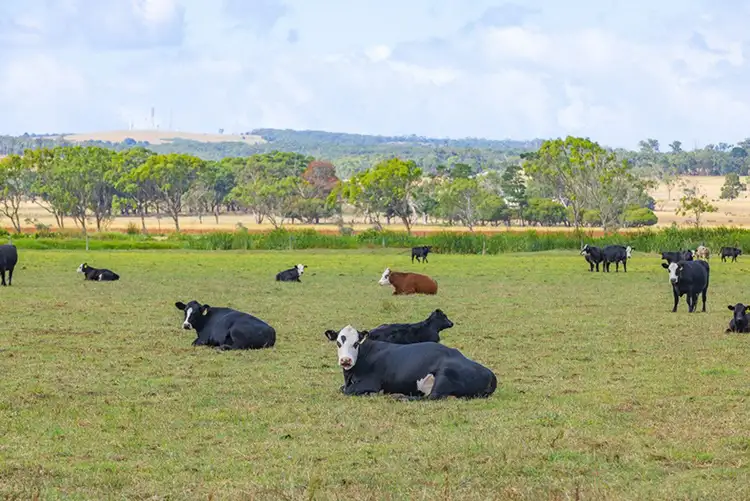 Second view of Homely rural property listing, Mitchells Road, Heywood VIC 3304