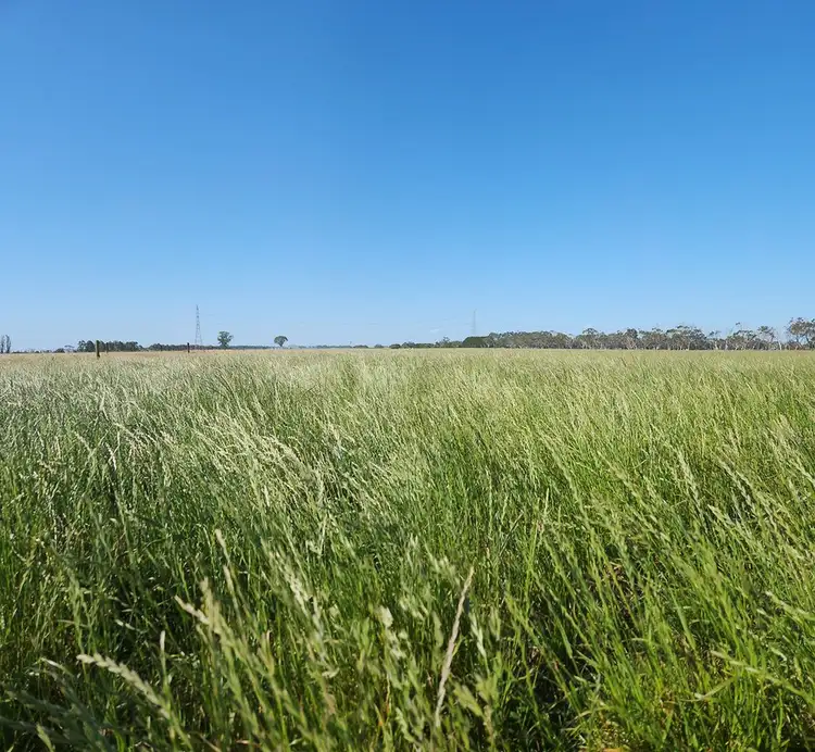 Fifth view of Homely rural property listing, Mitchells Road, Heywood VIC 3304