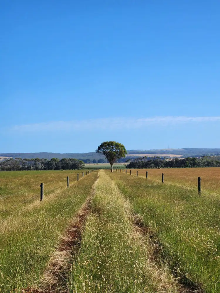 Sixth view of Homely rural property listing, Mitchells Road, Heywood VIC 3304