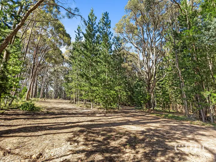 Second view of Homely rural property listing, 1400 Daylesford Malmsbury Road, Denver VIC 3461