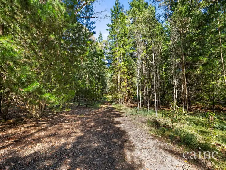 Fourth view of Homely rural property listing, 1400 Daylesford Malmsbury Road, Denver VIC 3461