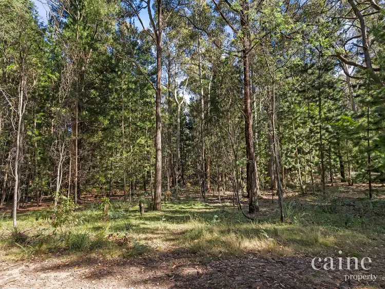 Fifth view of Homely rural property listing, 1400 Daylesford Malmsbury Road, Denver VIC 3461