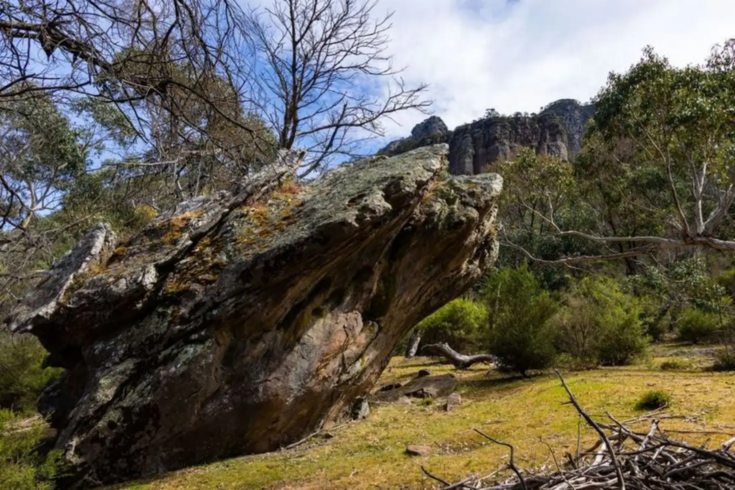 Main view of Homely rural property listing, 8376 Grampians Road, Dunkeld VIC 3294