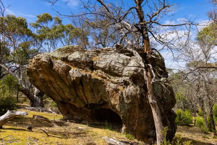 Fourth view of Homely rural property listing, 8376 Grampians Road, Dunkeld VIC 3294