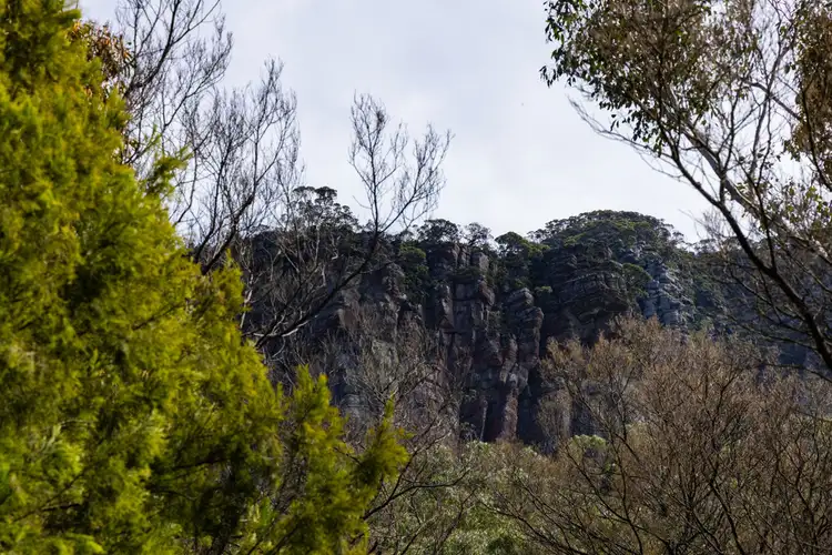 Sixth view of Homely rural property listing, 8376 Grampians Road, Dunkeld VIC 3294