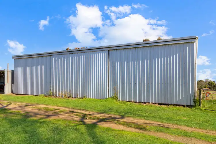Fifth view of Homely rural property listing, Ridge Road, Garvoc VIC 3265