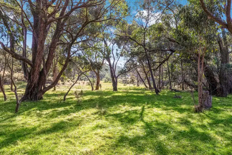 Third view of Homely land listing, 195 Majors Line Road, Tooborac VIC 3522