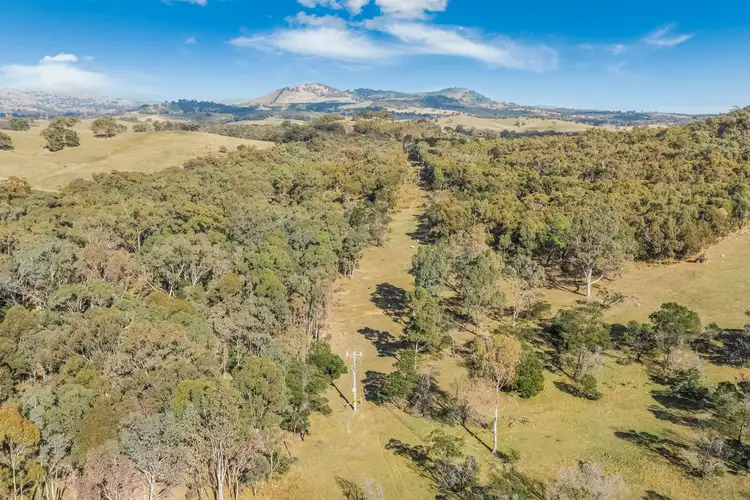 Sixth view of Homely land listing, 195 Majors Line Road, Tooborac VIC 3522