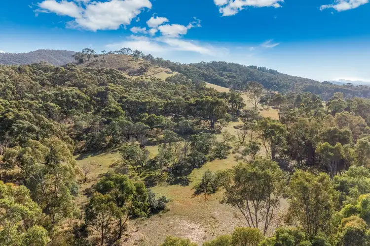 Seventh view of Homely land listing, 195 Majors Line Road, Tooborac VIC 3522