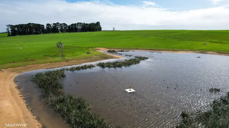 Fourth view of Homely rural property listing, 3960 Dartmoor-Hamilton Road, Grassdale VIC 3302