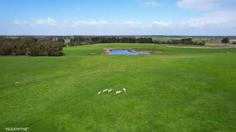 Fifth view of Homely rural property listing, 3960 Dartmoor-Hamilton Road, Grassdale VIC 3302