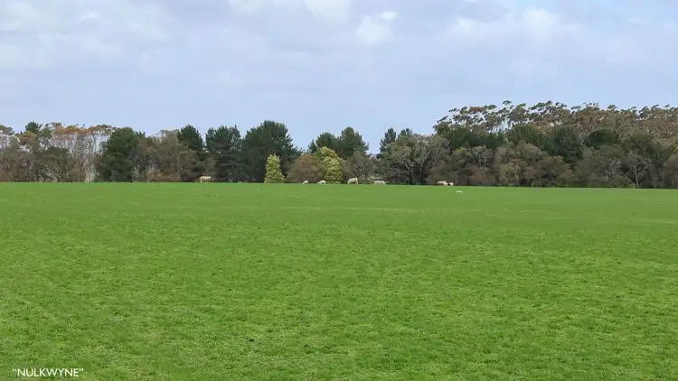 Sixth view of Homely rural property listing, 3960 Dartmoor-Hamilton Road, Grassdale VIC 3302