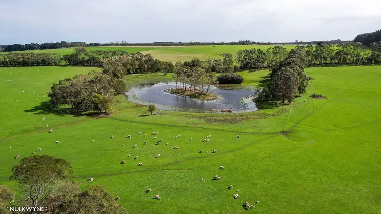 Seventh view of Homely rural property listing, 3960 Dartmoor-Hamilton Road, Grassdale VIC 3302