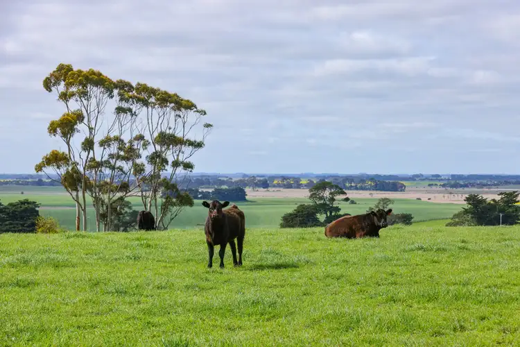 Third view of Homely rural property listing, 521 Mill Road, Strathkellar VIC 3301