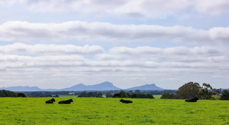 Fourth view of Homely rural property listing, 521 Mill Road, Strathkellar VIC 3301