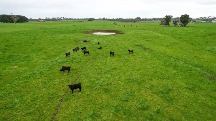 Sixth view of Homely rural property listing, Hughs Road, Wangoom VIC 3279