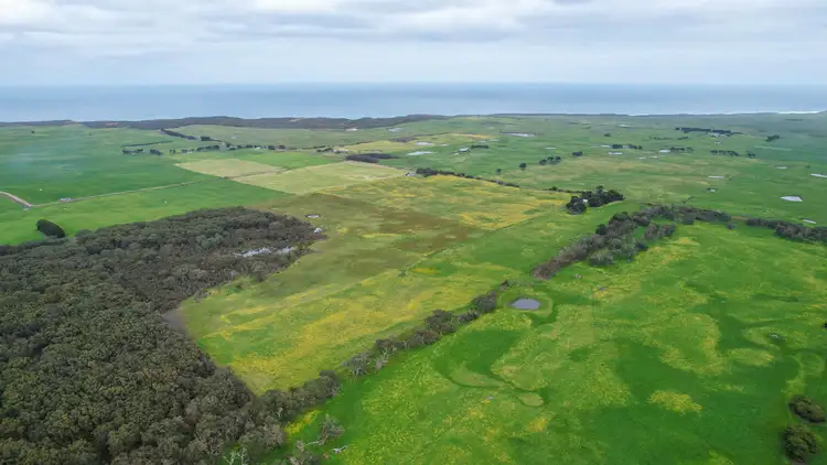 Fourth view of Homely rural property listing, Blakes Road, Nirranda South VIC 3268