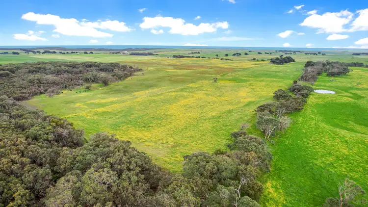 Fifth view of Homely rural property listing, Blakes Road, Nirranda South VIC 3268