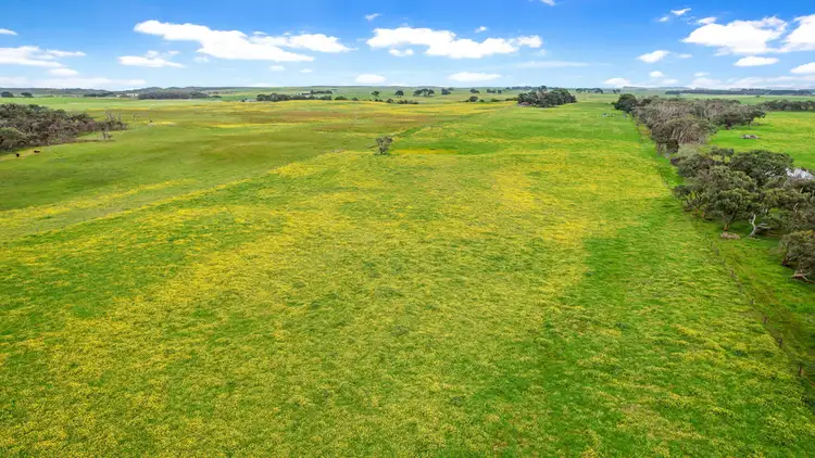 Sixth view of Homely rural property listing, Blakes Road, Nirranda South VIC 3268