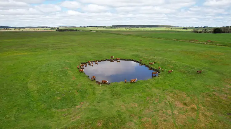 Brians Road, Breakaway Creek VIC 3303