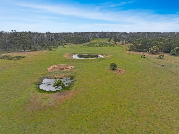 Main view of Homely rural property listing, 1/5533 South Gippsland Highway, Stradbroke VIC 3851