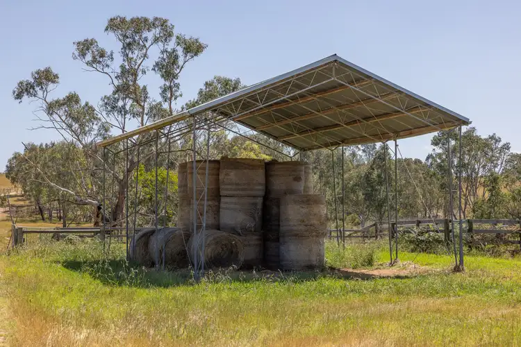 Fourth view of Homely rural property listing, 2 Warrigal Toms Creek Road, Newry VIC 3859