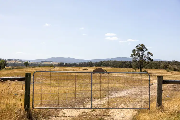 Seventh view of Homely rural property listing, 2 Warrigal Toms Creek Road, Newry VIC 3859