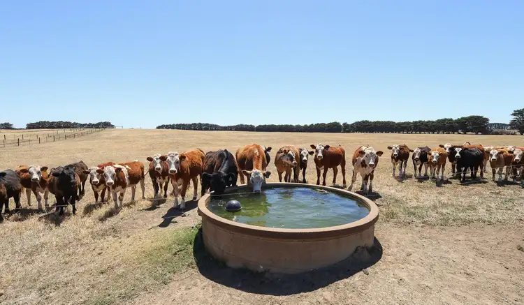 Second view of Homely rural property listing, 4577 Princes Highway, Yambuk VIC 3285