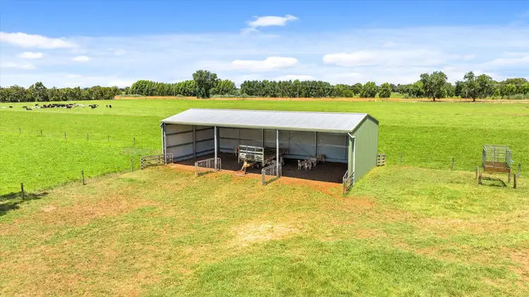 Third view of Homely rural property listing, 22 Mewburn Park Road, Tinamba VIC 3859