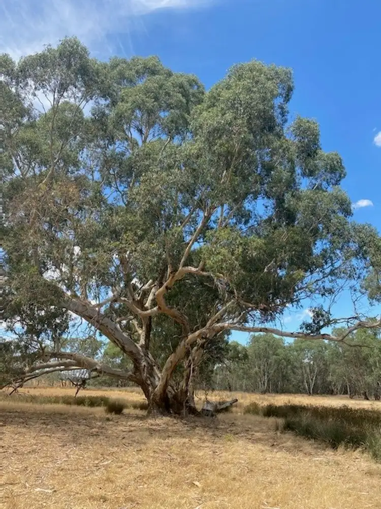 Third view of Homely land listing, 28 Ring Lane, Tooborac VIC 3522