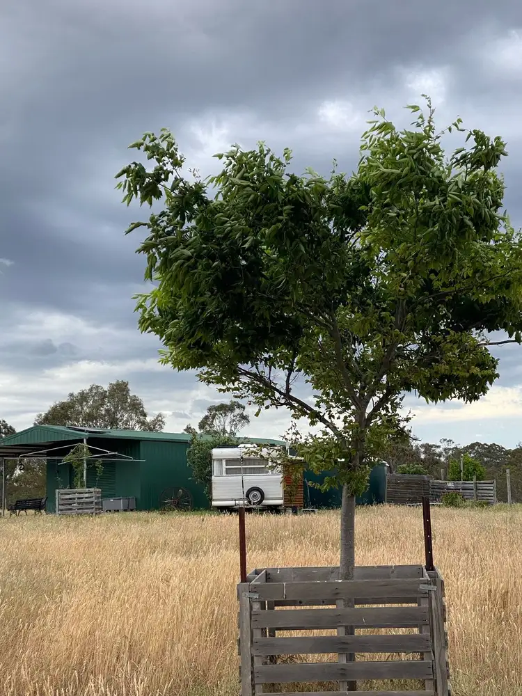 Seventh view of Homely land listing, 28 Ring Lane, Tooborac VIC 3522