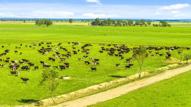 Main view of Homely rural property listing, Sale - Toongabbie Road, Nambrok VIC 3847