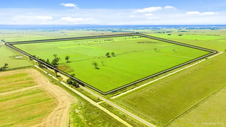 Fourth view of Homely rural property listing, Sale - Toongabbie Road, Nambrok VIC 3847