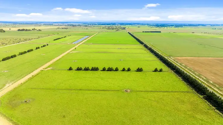 Fifth view of Homely rural property listing, Sale - Toongabbie Road, Nambrok VIC 3847