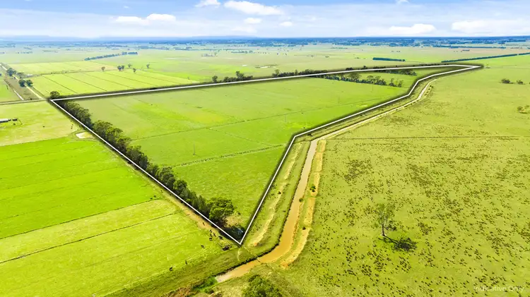 Main view of Homely rural property listing, 2 Sale - Toongabbie Road, Nambrok VIC 3847
