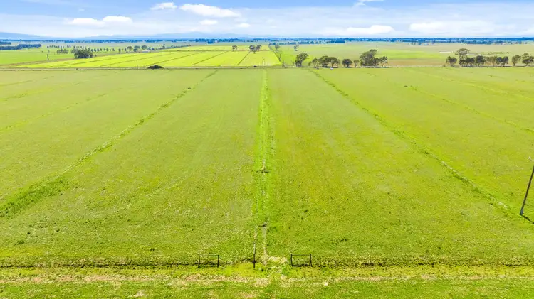 Fourth view of Homely rural property listing, 2 Sale - Toongabbie Road, Nambrok VIC 3847