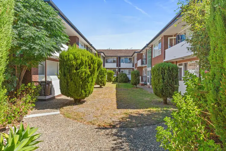 293 Kooyong Road