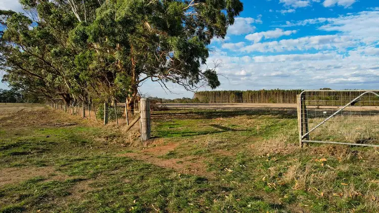 Third view of Homely rural property listing, Codrington-Bessiebelle Road, Bessiebelle VIC 3304